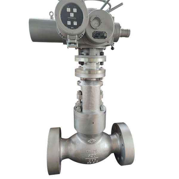 Power Plant Globe Valve